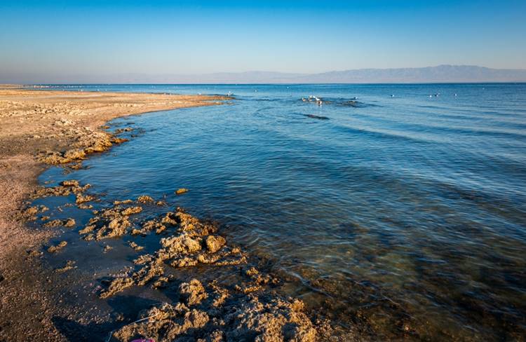 Salton Sea 