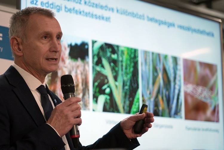 Kurtz György, BASF