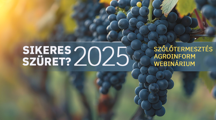 Sikeres szüret 2025? Szőlőtermesztés Agroinform webinárium