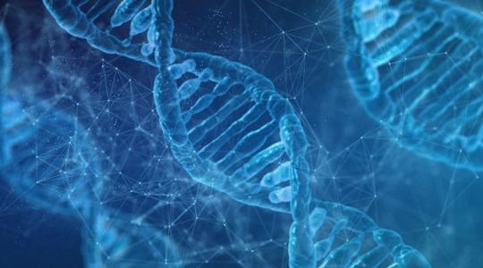 Az EP elfogadta a rendkívül vitatott génkezelési technikákra vonatkozó új szabályok módosításait