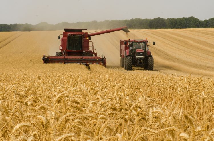 traktor, mezőgazdaság