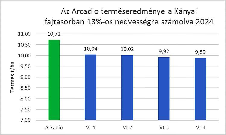 kukorica hibrid