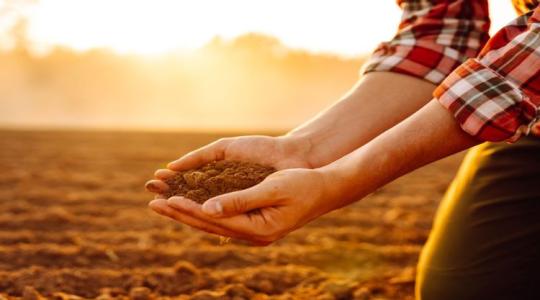 Karbonfarming: miért jó a környezetnek, és miért a gazdának?