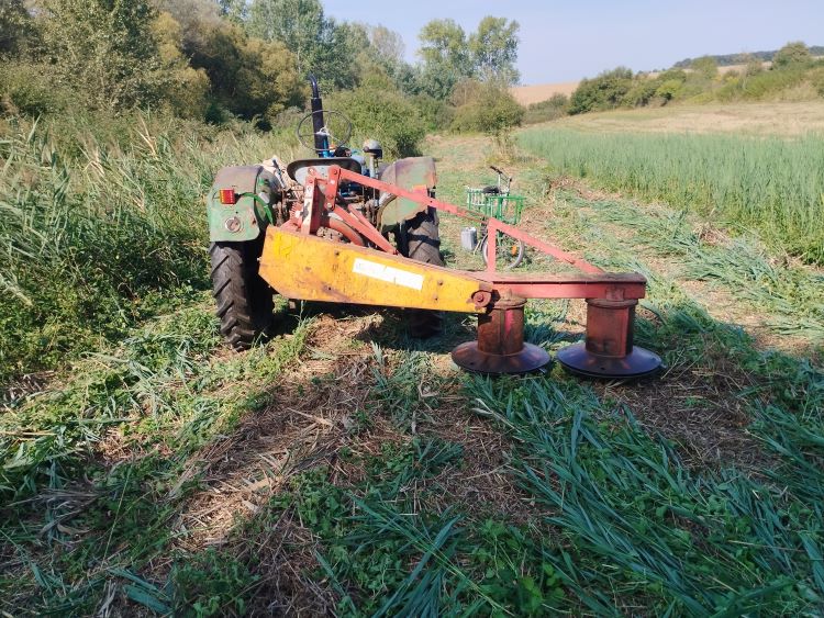 Zetor K25