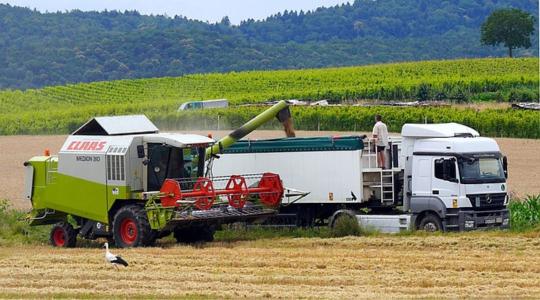 Itt a lehetőség a fejlesztésre: 5-200 millió forint vissza nem térítendő támogatásra pályázhatnak a kkv-k