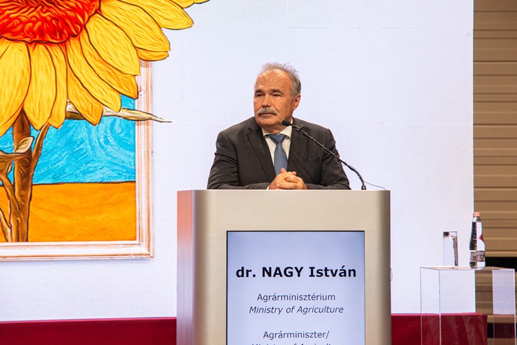 Nagy István