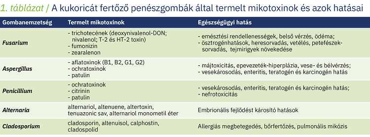 penészgombák