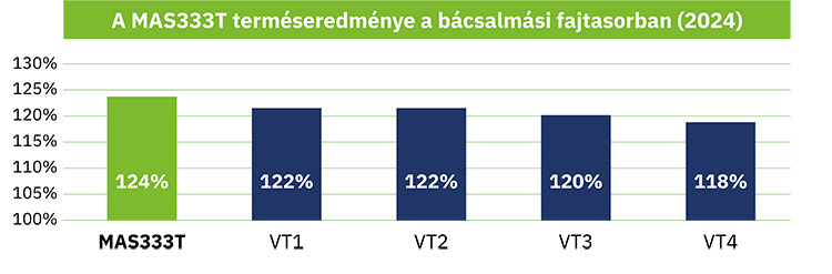 MAS 333T terméseredménye