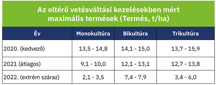 Az eltérő vetésváltási kezelésekben mért maximális termések