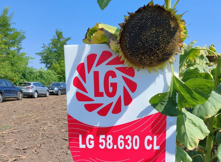 Limagrain LG 58.630 CL