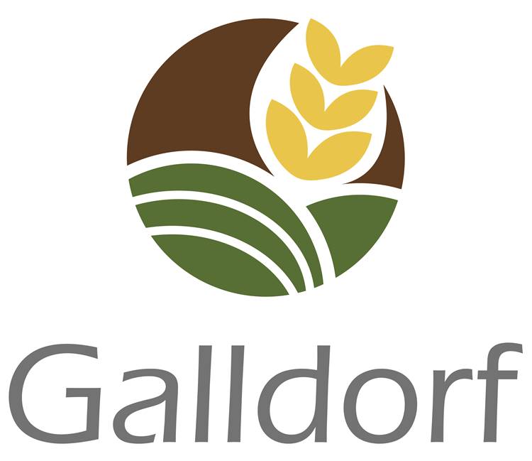 Galldorf