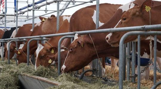 Szükségállapotot hirdettek a járvány terjedése miatt