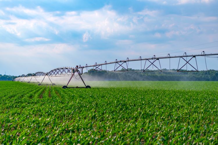 Eurobarométer-felmérés szerint az európaiak többsége támogatja az EU közös agrárpolitikáját (KAP), a mezőgazdasági termelők több mint fele (56 százalék) szerint pedig a jövedelmük stabilizálását elősegítő uniós pénzügyi támogatás szintje megfelelő