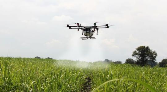 Drónos növényvédelem: sok még a nyitott kérdés, nagyon kellenének már a válaszok
