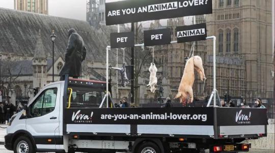Van-e még lejjebb? Felakasztott állatokat mutogattak az aktivisták +VIDEÓ