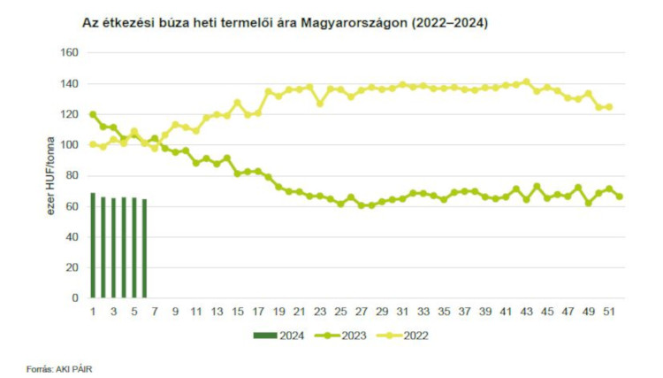 Az étkezési búza heti termelői ára Magyarországon