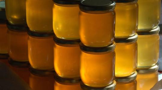 Kicsapta a biztosítékot a méhészeknél, hogy újra jöhet az ukrán méz