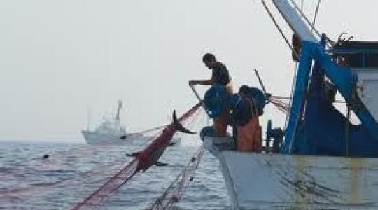 Szigorodtak a halászati import feltételei