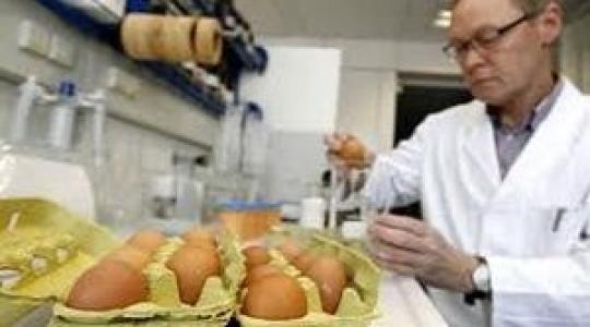 Nincs dioxin a vizsgált tojásokban