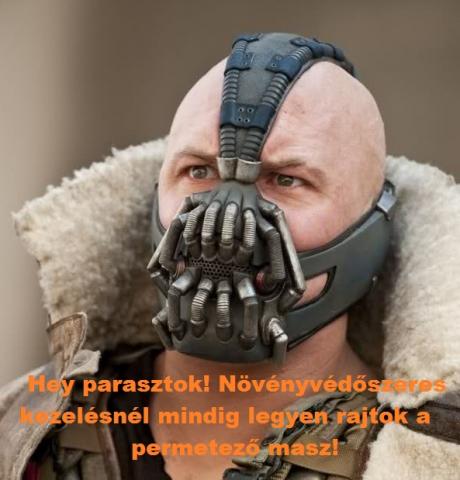 Bane