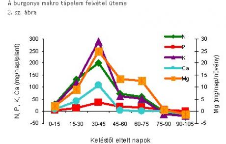 Tápanyagok