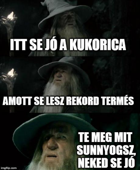 gandalf