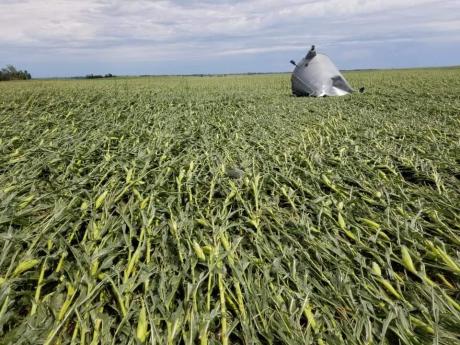  Iowa corn