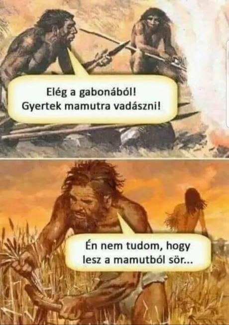 Kép mamut gabona árpa sör