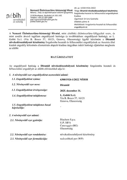 diramid_engedely_20220926_final_indoklas_nelkul_docx.pdf
