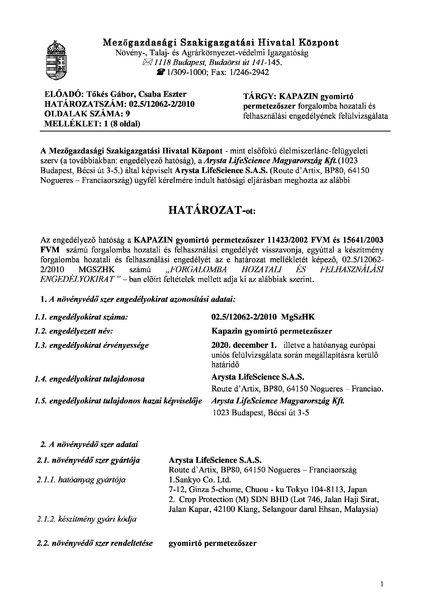 kapazin_eng_2010_12_21.pdf