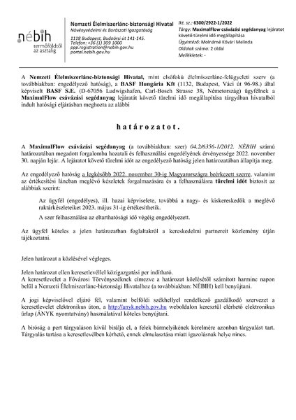 maximal_flow_turelmiidomegall_2022_11_15.pdf