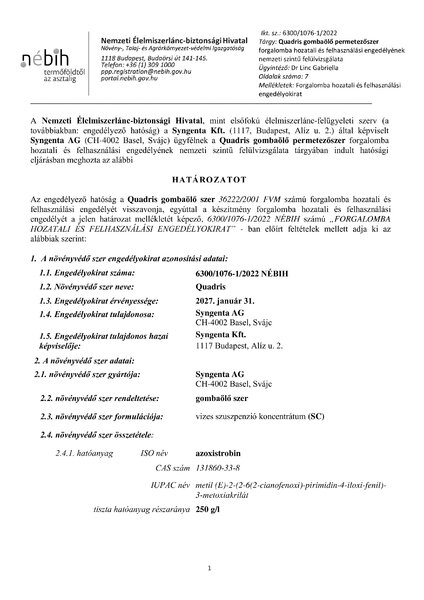 quadris_felulvizsgalat_20220425_indoklas_nelkul_docx.pdf