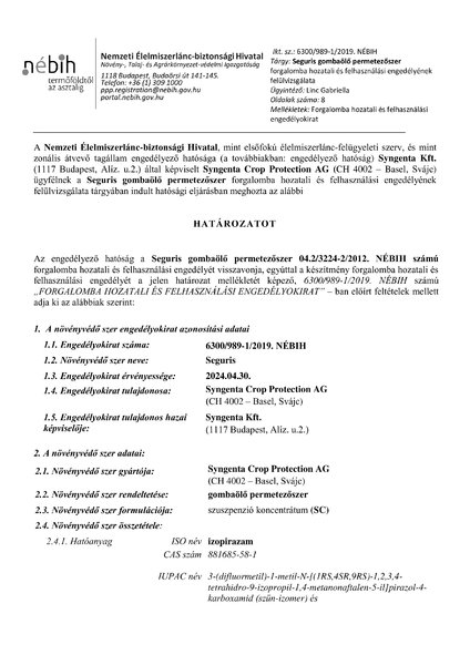 seguris_felulvizsgalat_v20190711.pdf