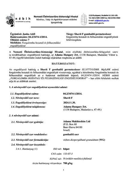 shavitf_felulvizsgalat_20141118.pdf