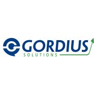 Gordius Solutions Tender Kft.