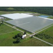 ASTER-RR Greenhouses & Plant b.v.